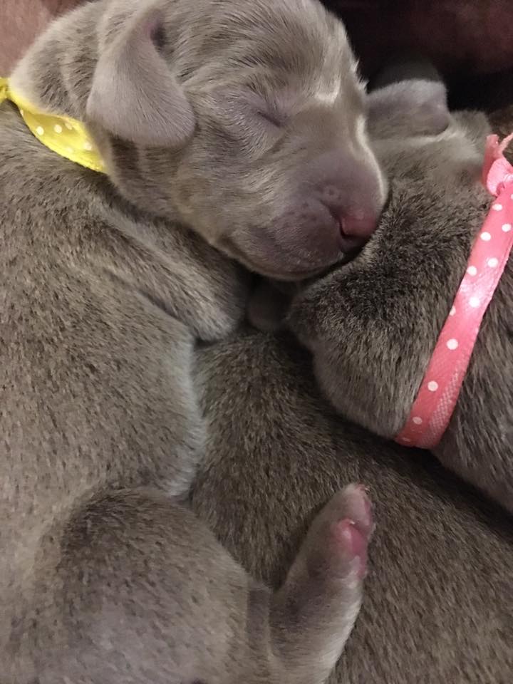 Miot C — 1 Week