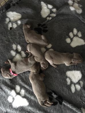 Miot C — 1 Week