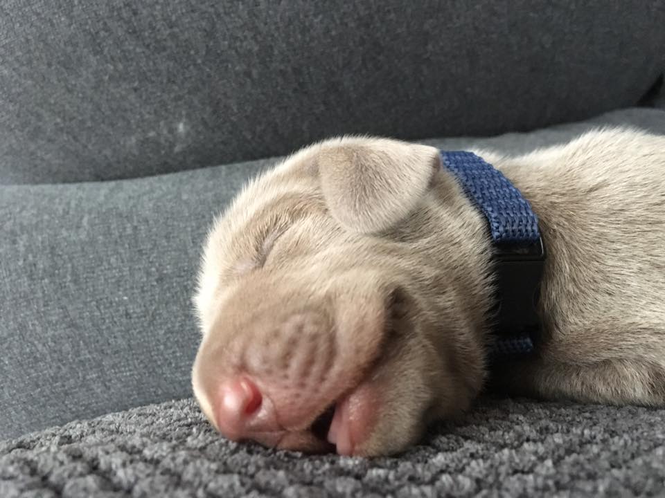 Miot C — 1 Week
