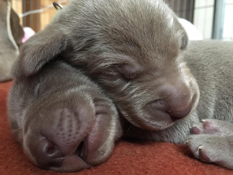 Miot C — 3 Week