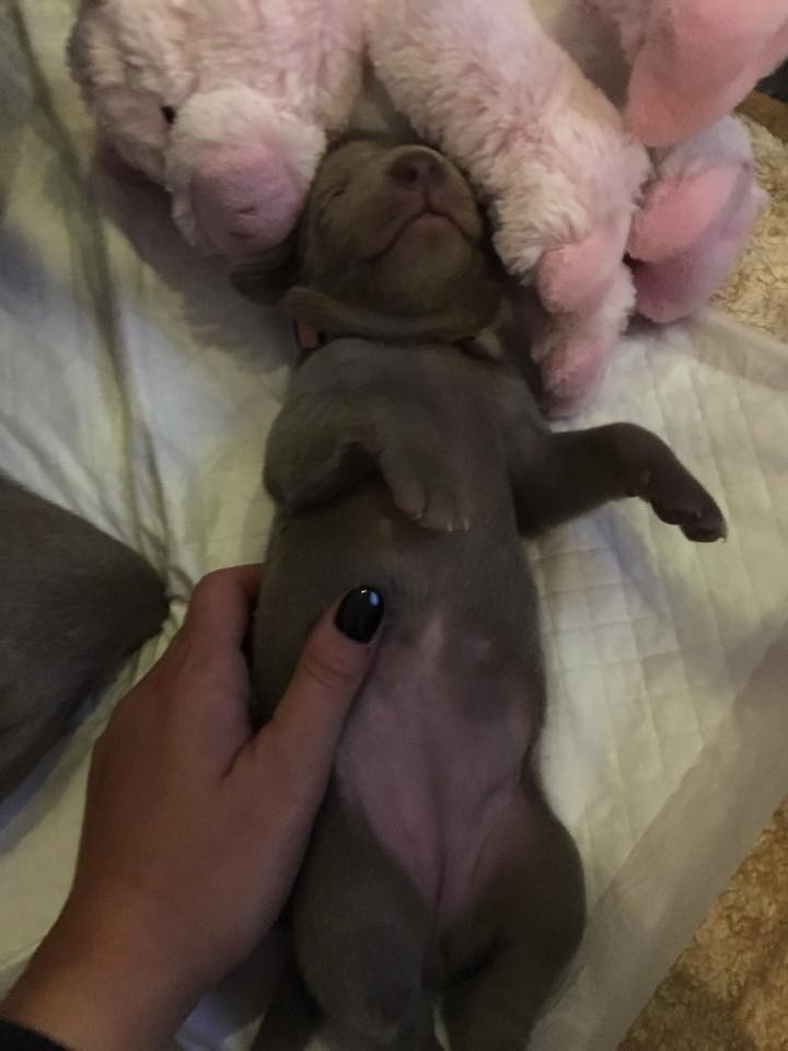 Miot C — 3 Week