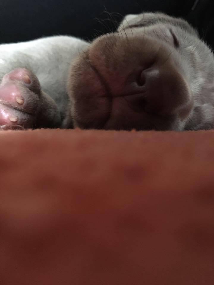 Miot C — 3 Week