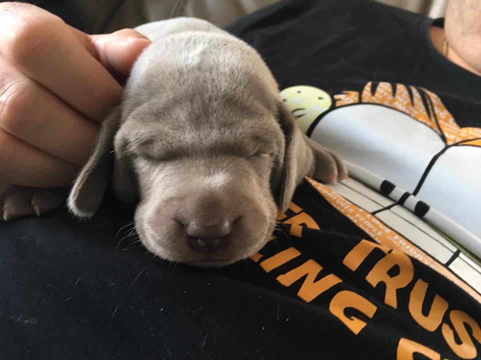 Miot C — 3 Week