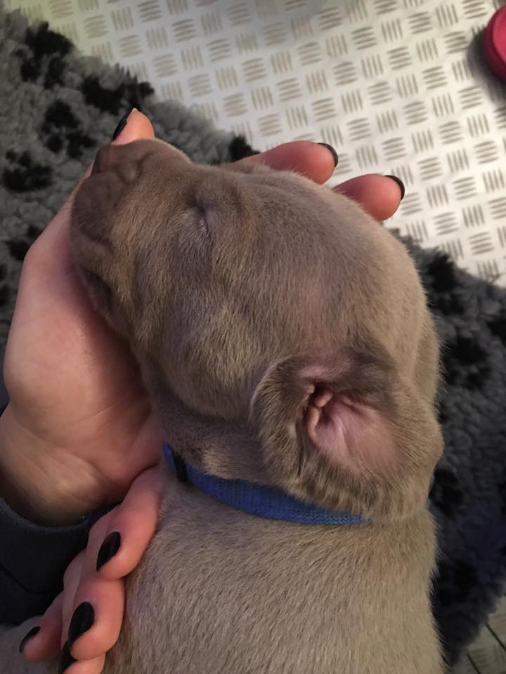 Miot C — 3 Week