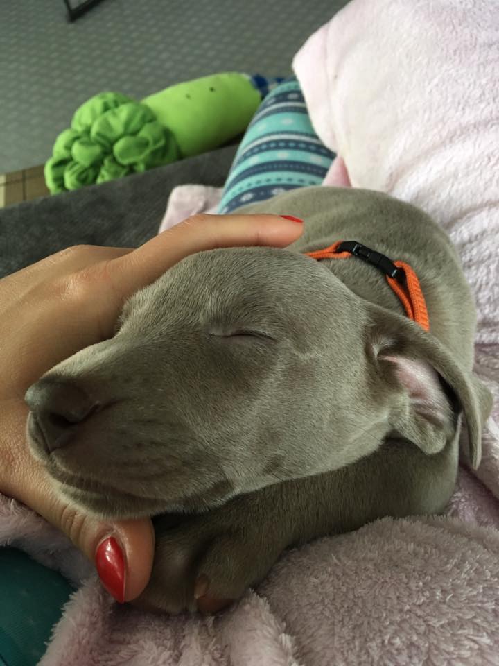 Miot C — 4 Week