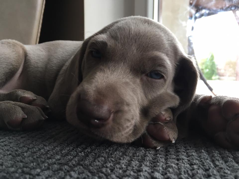 Miot C — 4 Week