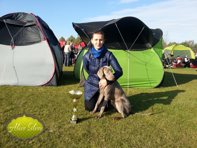 Miot F — Forest Lady Alive Silver Weimaraner