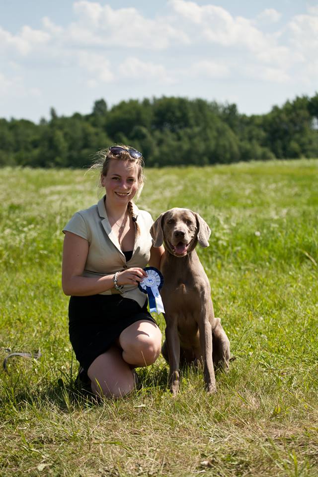 Miot F — Forrest Alive Sliver Weimaraner/International Dog Show In Litva