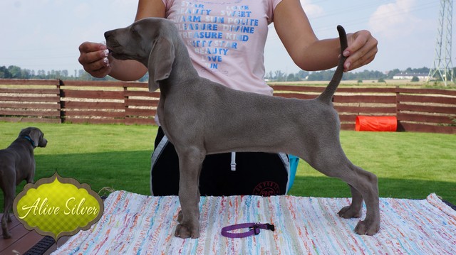 Miot H — 9.1 Weeks