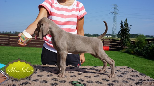 Miot H — 9.1 Weeks
