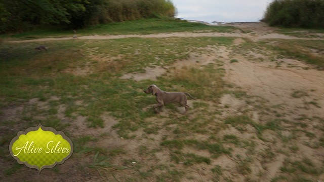 Miot H — 9 Weeks
