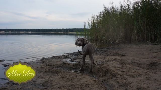 Miot H — 9 Weeks