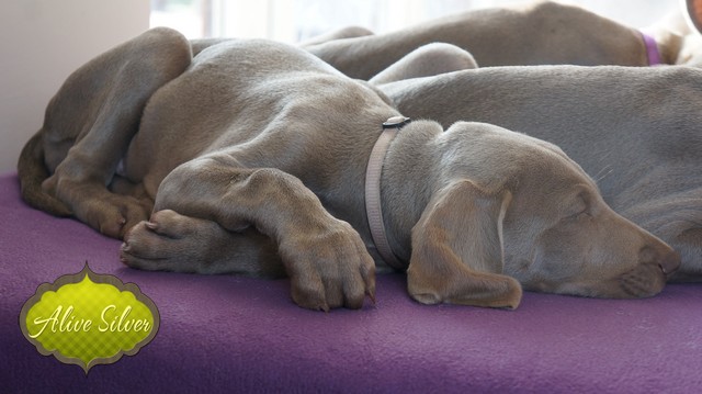 Miot H — 9 Weeks