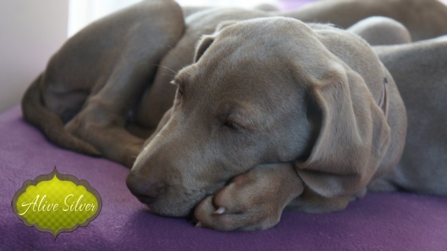 Miot H — 9 Weeks