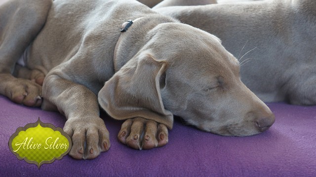 Miot H — 9 Weeks