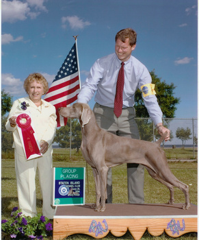 Miot H — Grandparents Puppies Weiamraner