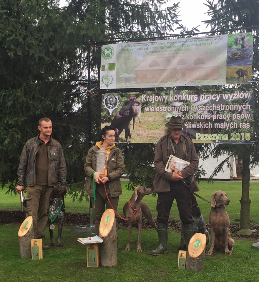 Miot H — Heart Breaker Alive Silver Weimaraner 10 Weeks/First Memorial Of Erwin Dembiniok International Contest Of Working Pointers