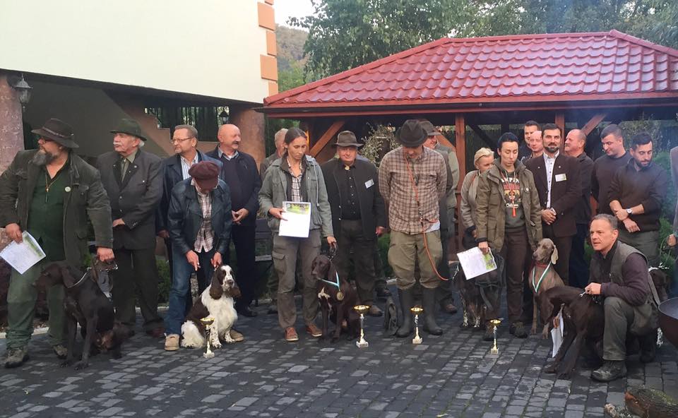Miot H — Heart Breaker Alive Silver Weimaraner 10 Weeks/Regional Contest Of Working Pointers In Multilateral Class