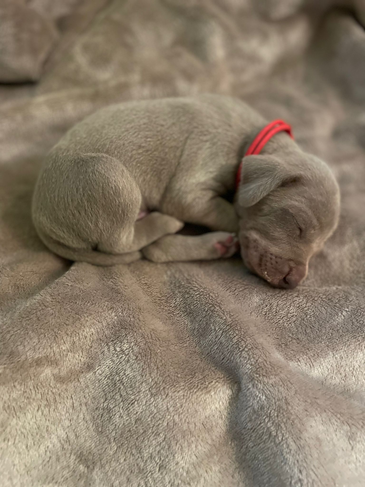 Miot O — 2 Weeks