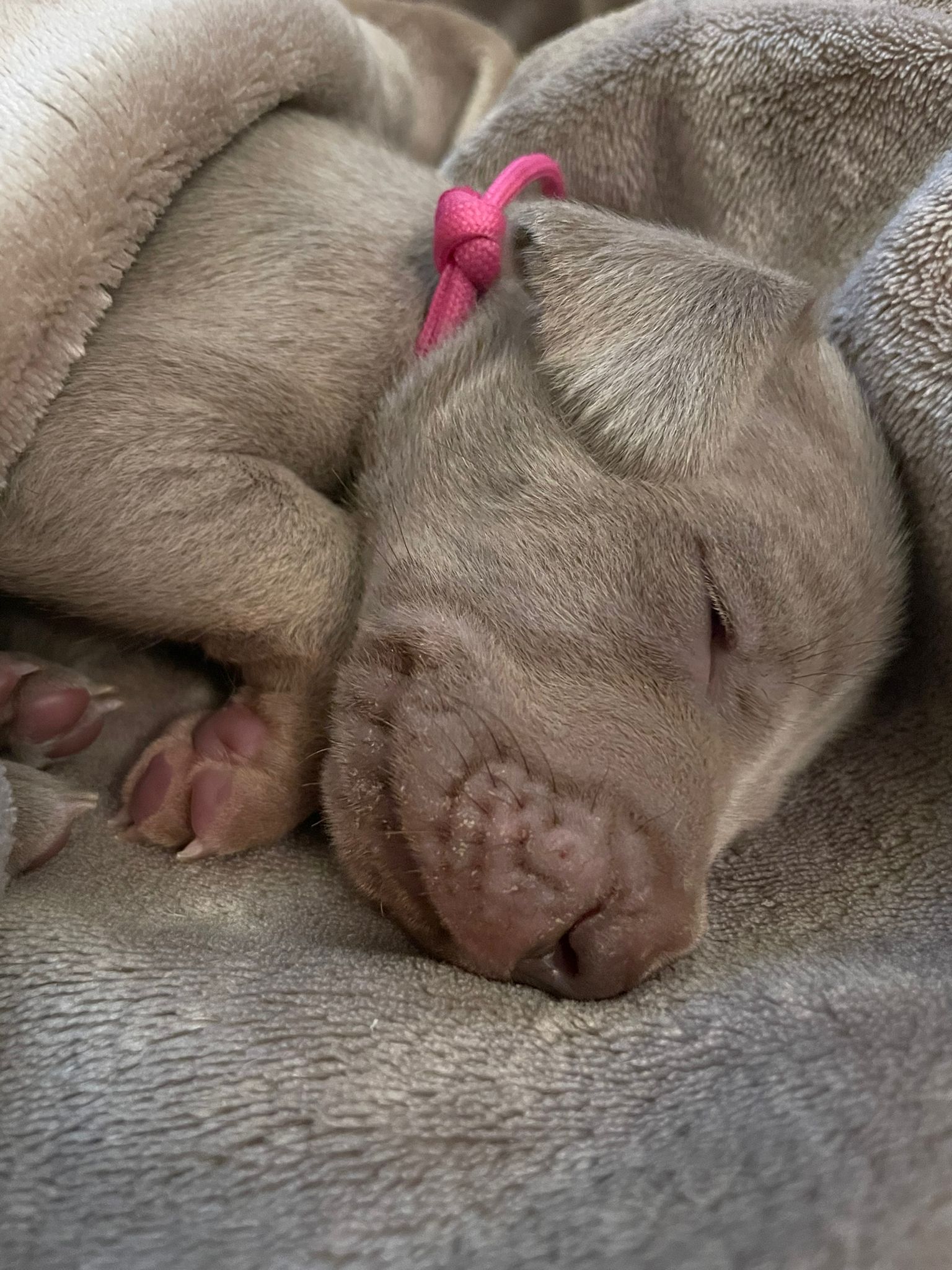 Miot O — 2 Weeks