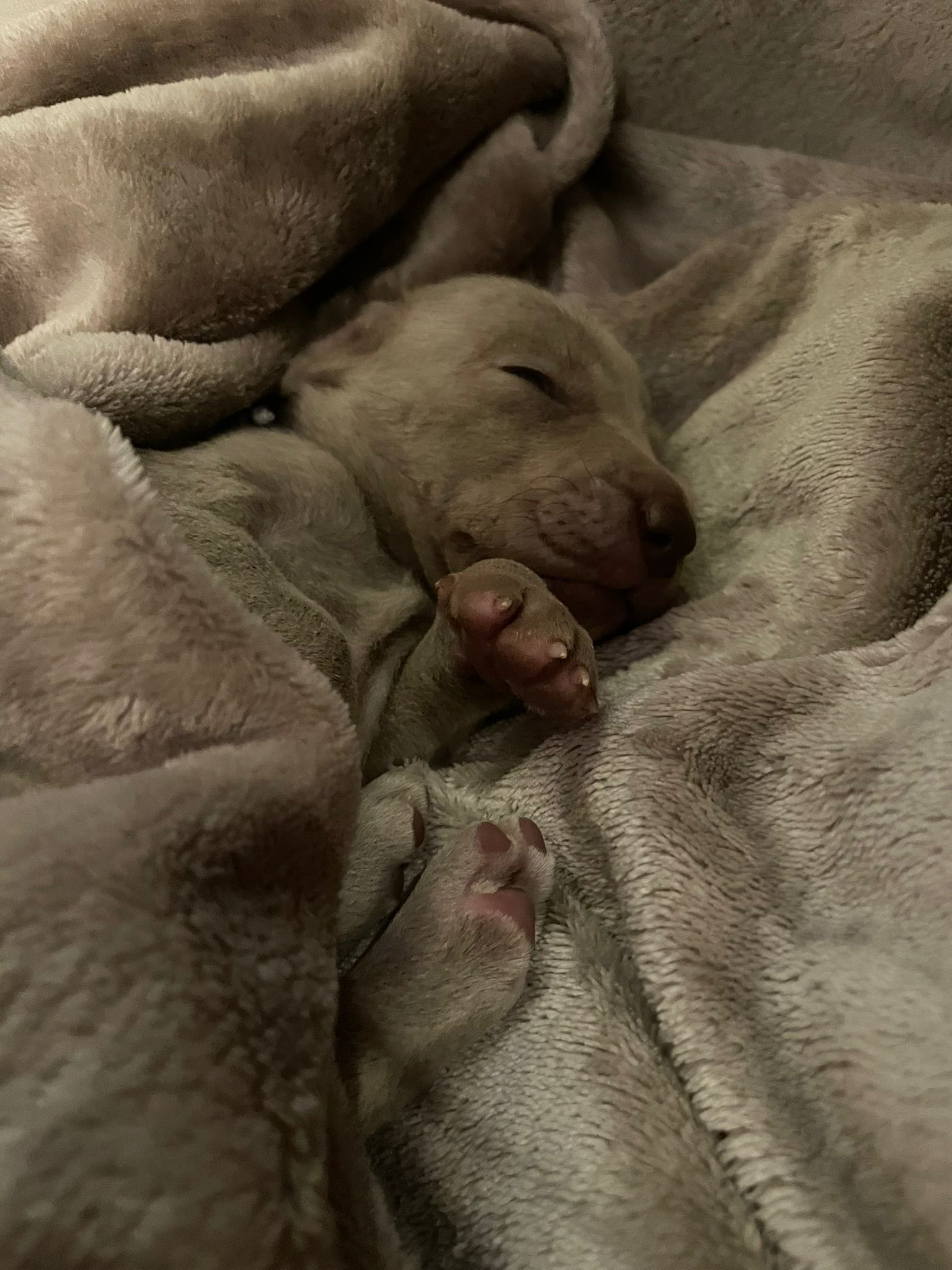 Miot O — 2 Weeks