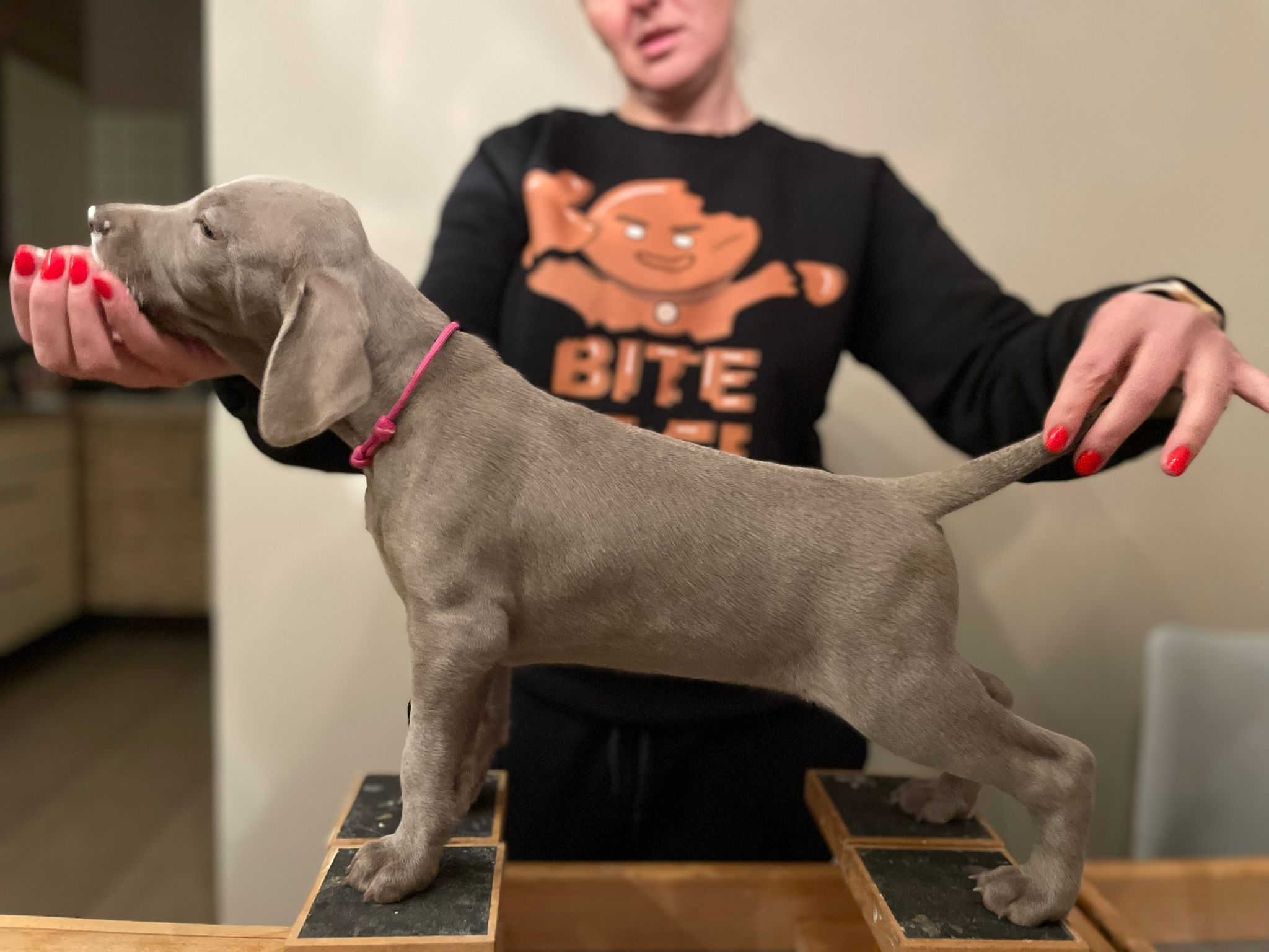 Miot O — 6 Weeks