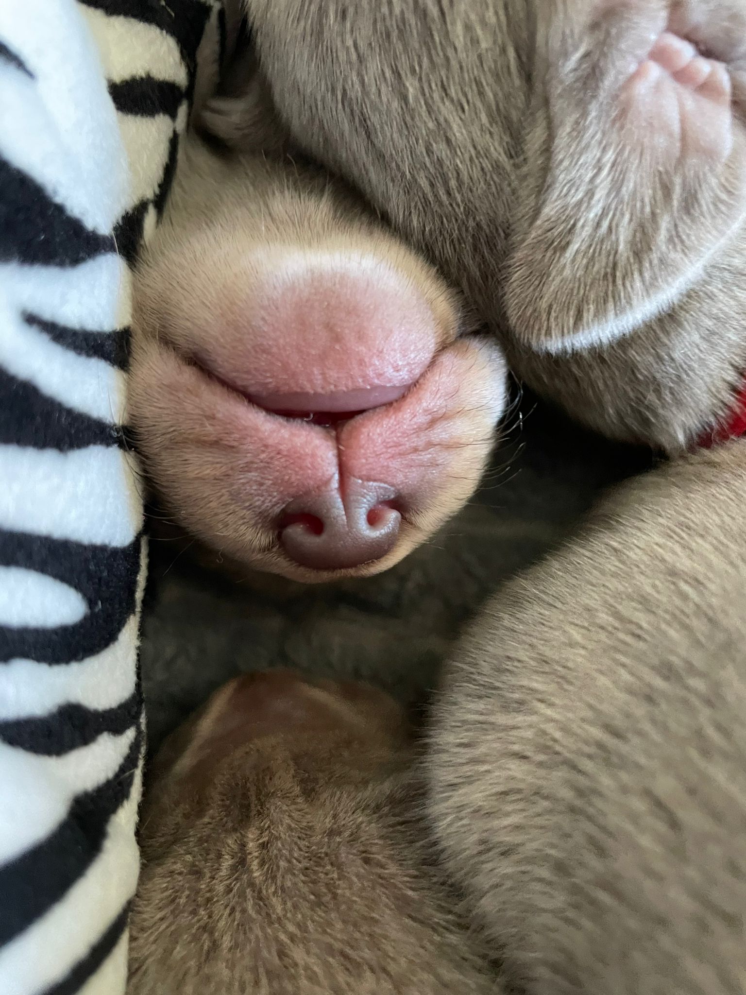 Miot O — Born