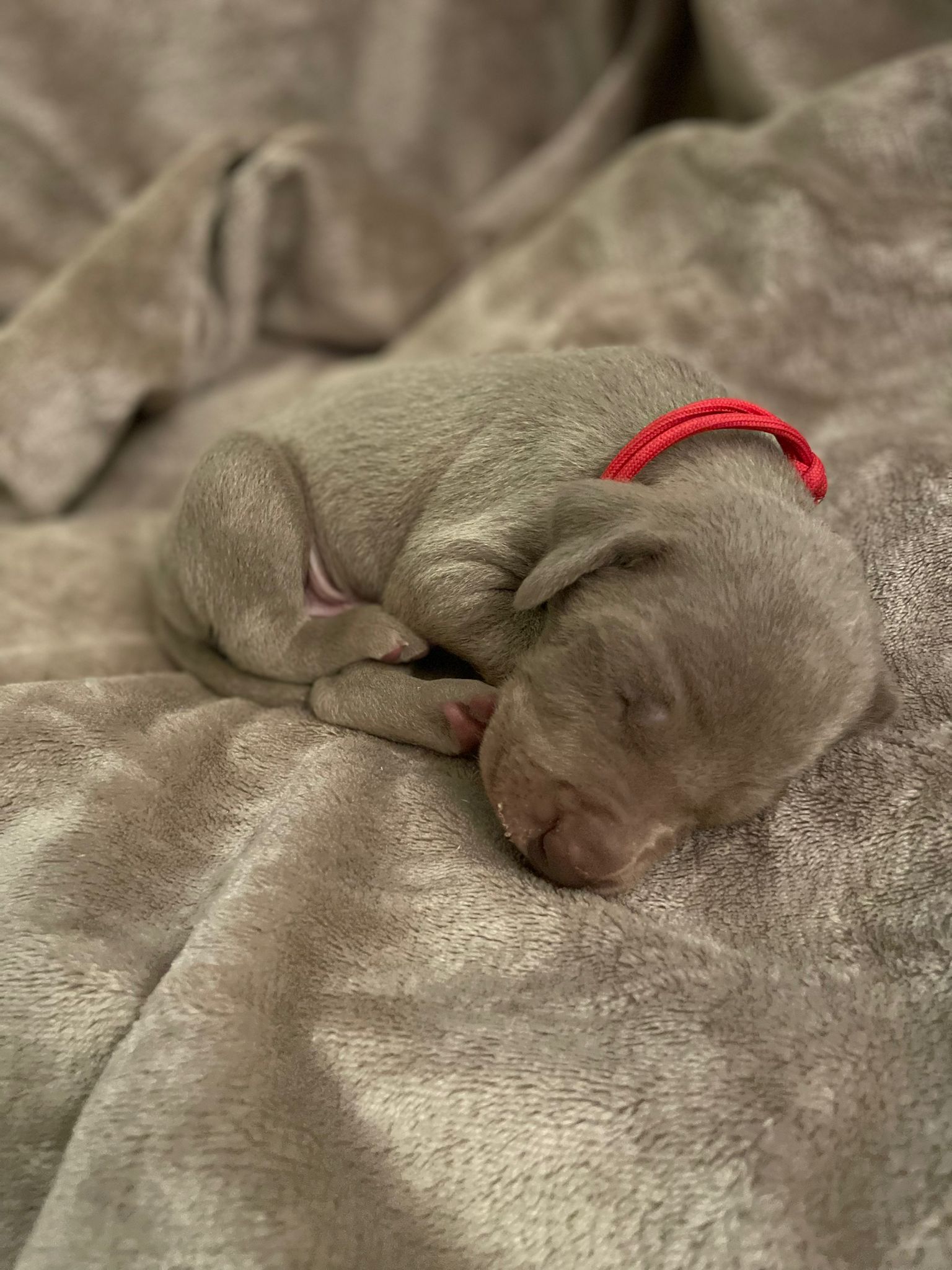 Miot O — 2 Weeks
