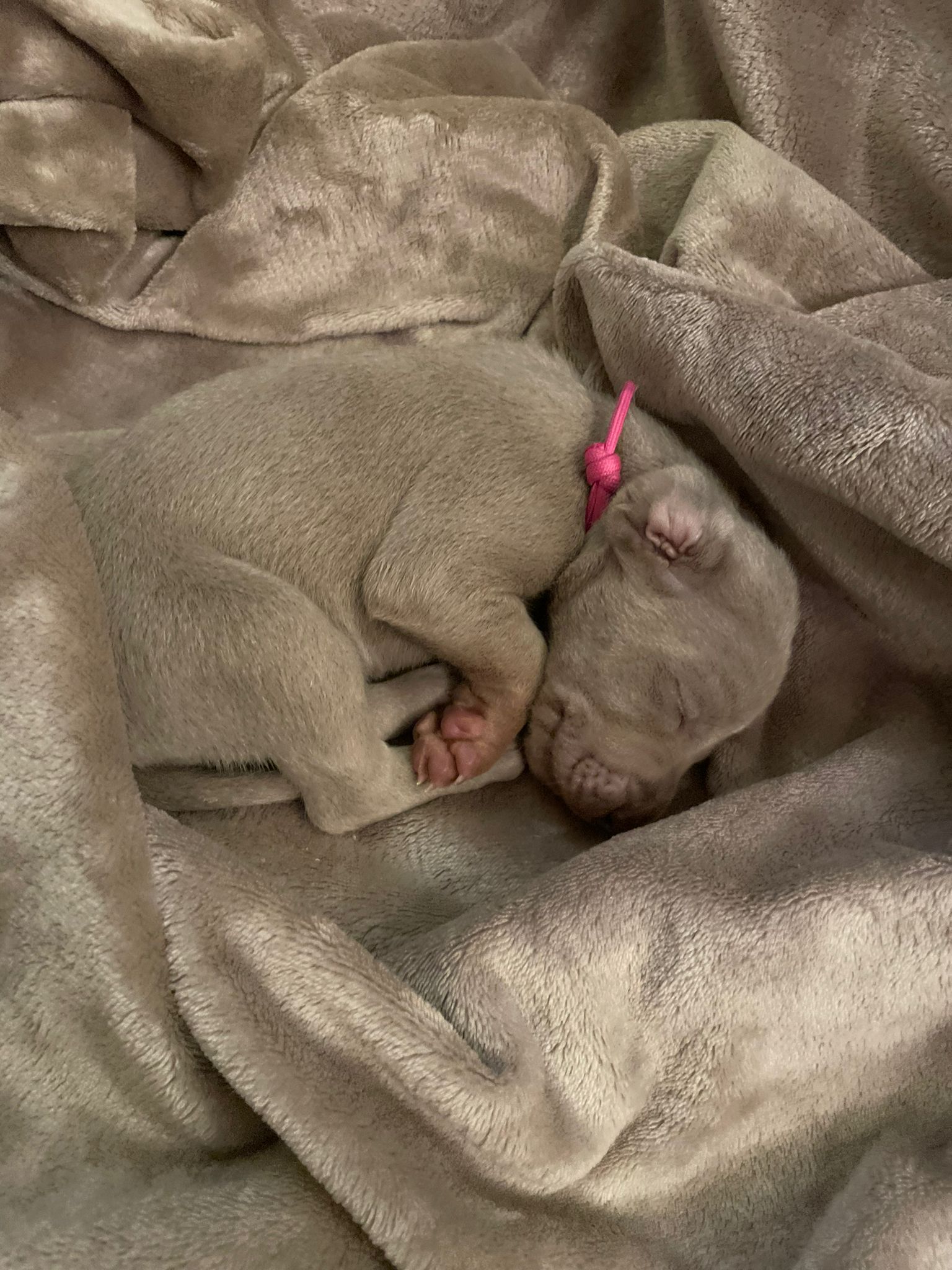 Miot O — 2 Weeks