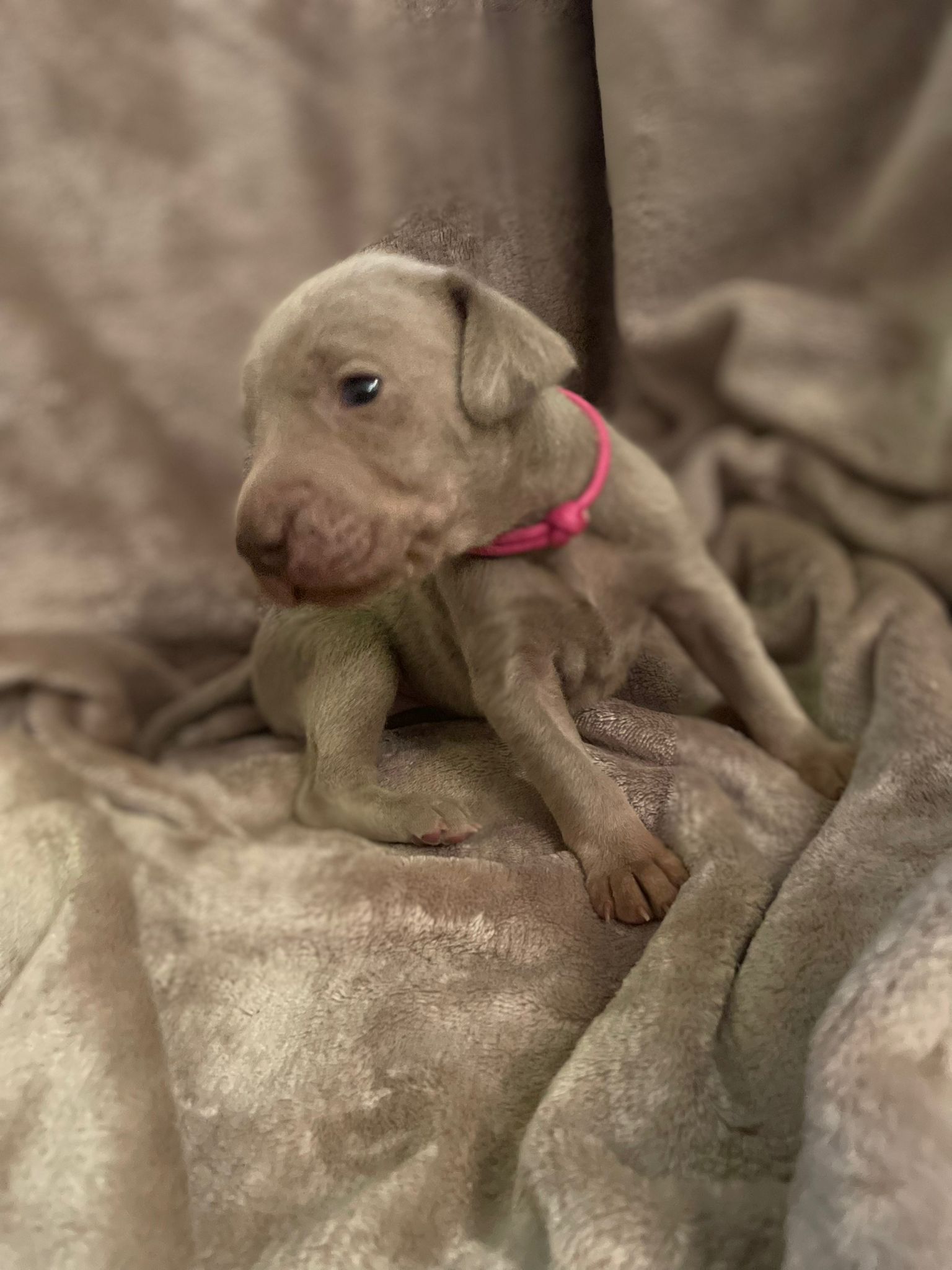 Miot O — 2 Weeks