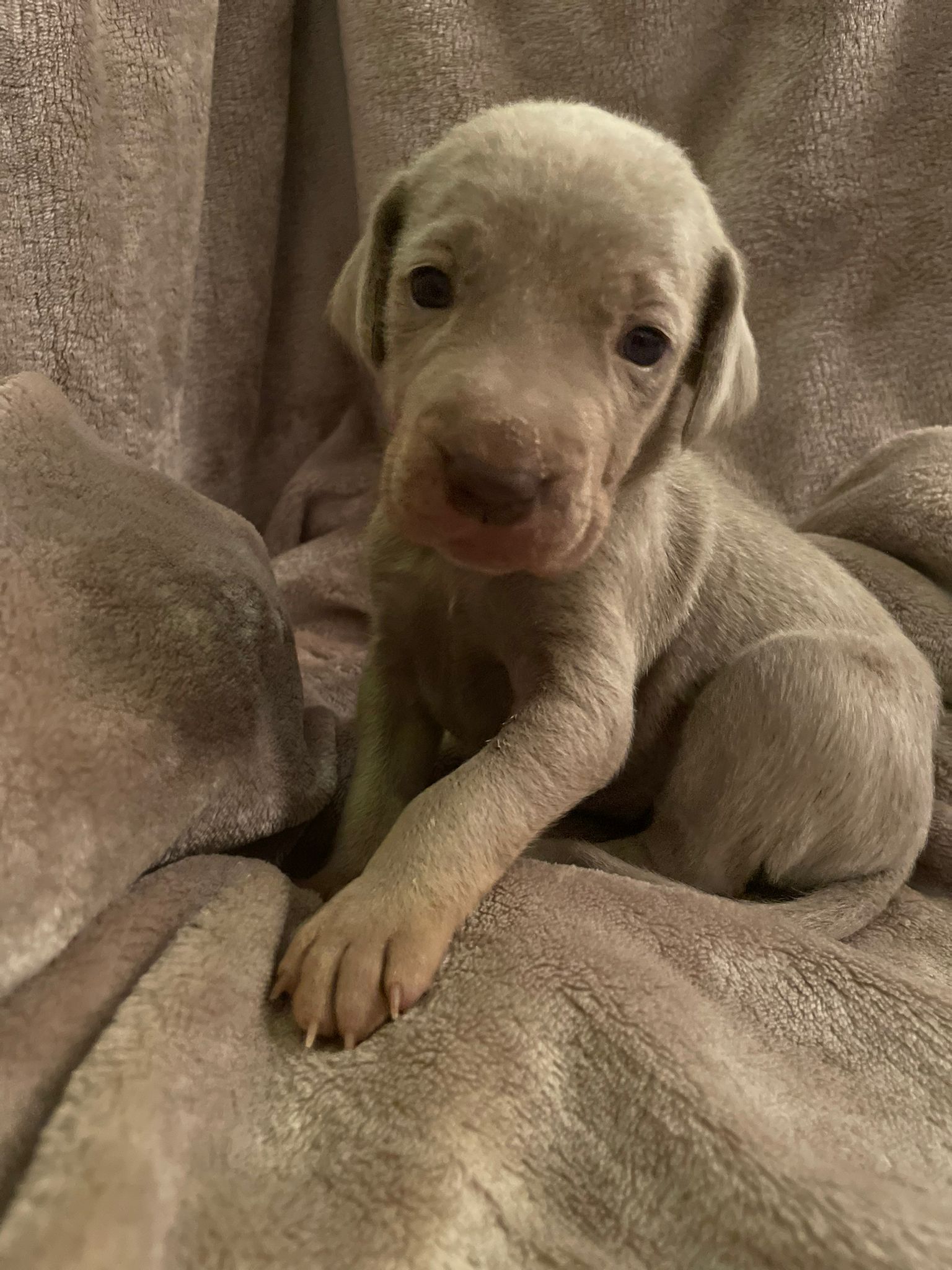 Miot O — 2 Weeks