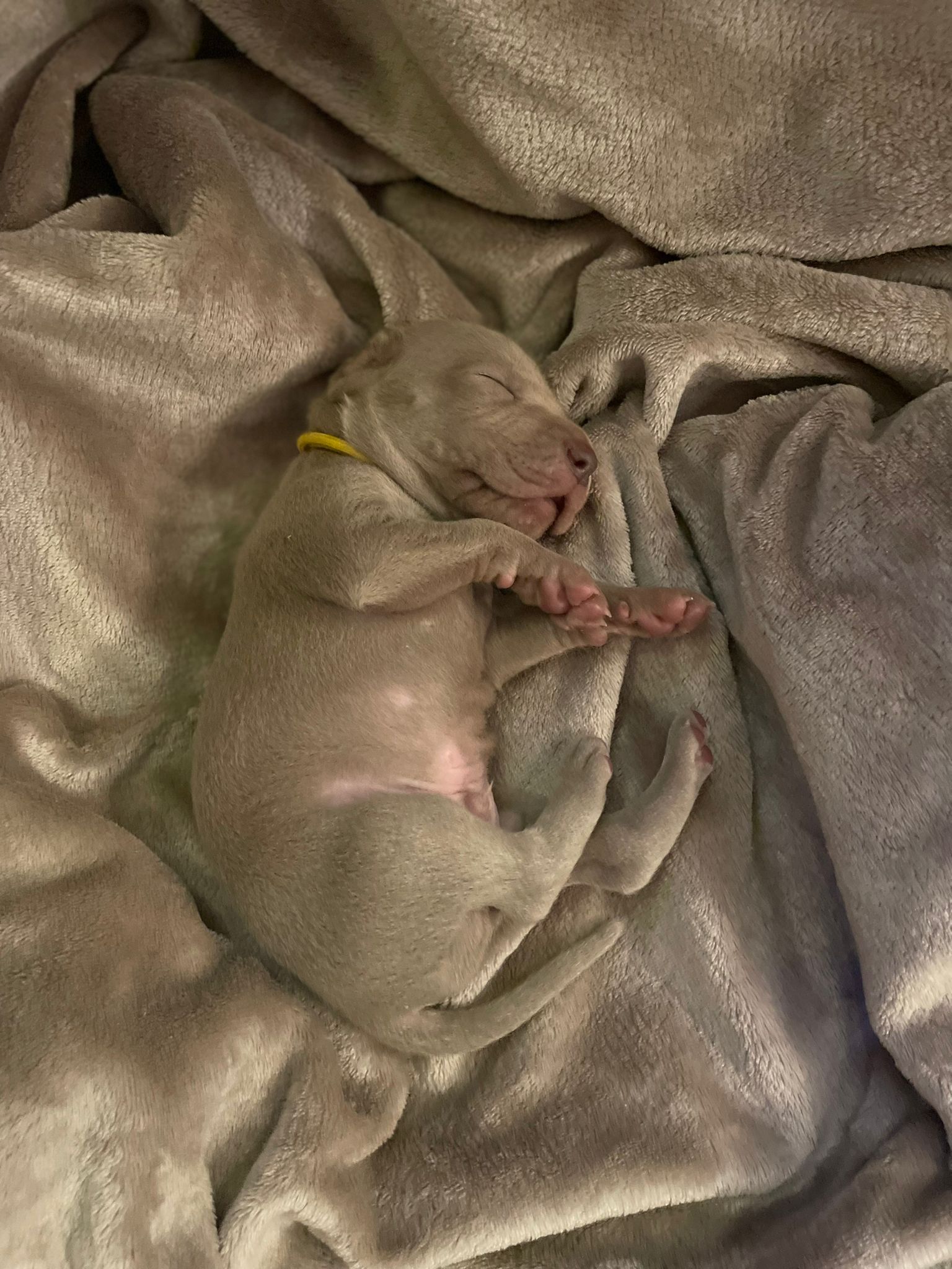 Miot O — 2 Weeks