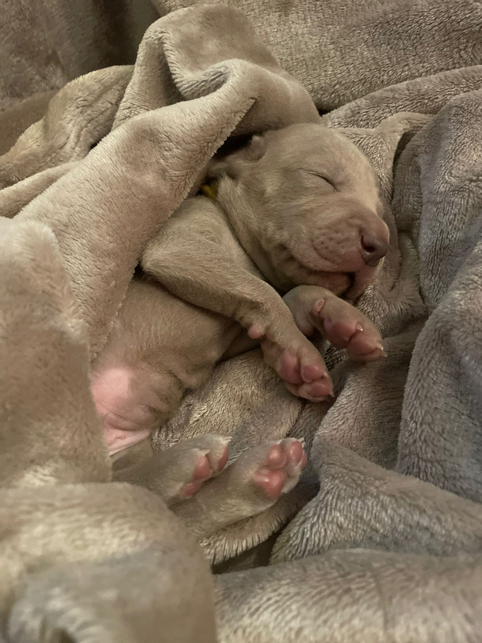 Miot O — 2 Weeks