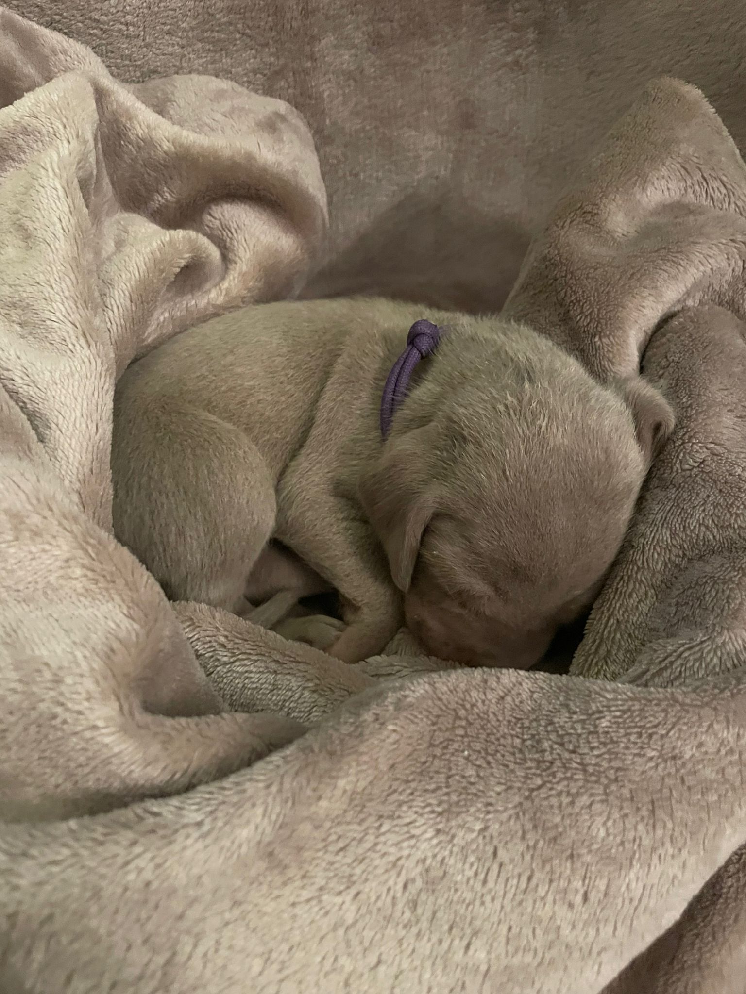 Miot O — 2 Weeks