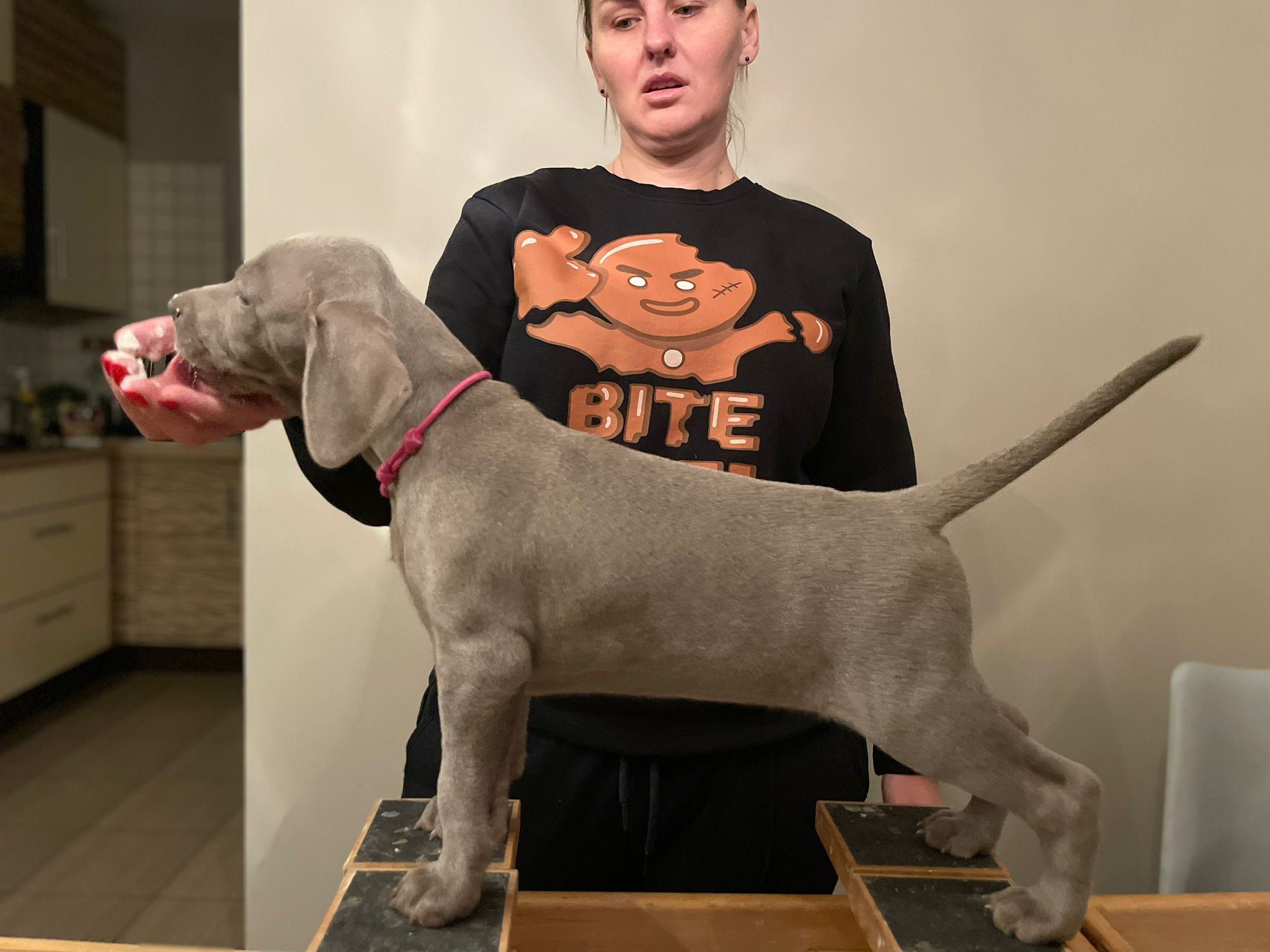 Miot O — 6 Weeks