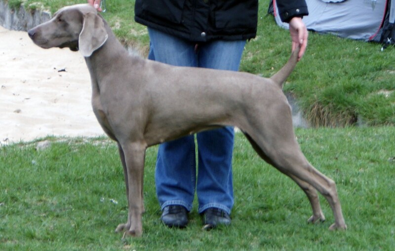 Miot S — Archiwum miotu