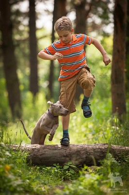 Miot S — Sparklingmoonalivesilverweimaranersunny