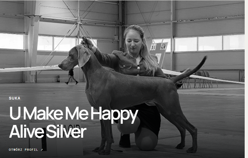 U Make Me Happy Alive Silver — Wanda